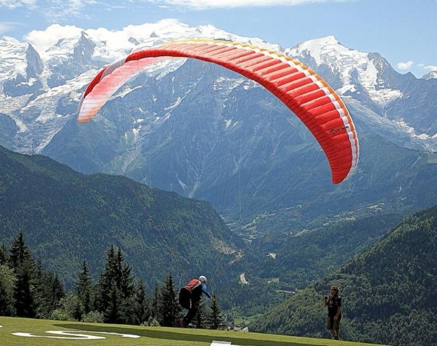 Super Appartement Cocooning Vu Mont Blanc Sallanches Exterior foto